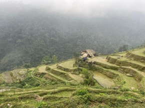Bikki's jungle homestay